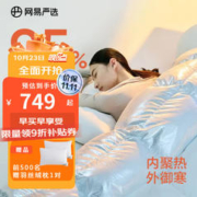 YANXUAN 网易严选 中国大鹅羽绒被95白鹅绒被冬被春秋被2023款被子被芯加厚