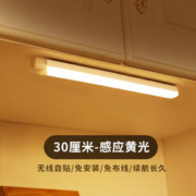 鸿视 智能led人体感应灯 200mm 黄光