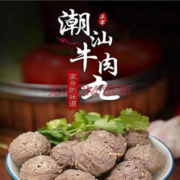 鲜伊人 正宗潮汕手打牛肉丸250g*3袋装