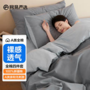 YANXUAN 网易严选 有氧纯棉枕套 1对 A类蓝酶芝士（蓝灰）