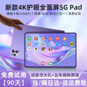 限移动端、京东百亿补贴：第三星种 新款512G全面屏5G平板电脑