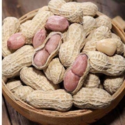 比比赞 BIBIZAN 龙岩花生 白晒水煮味 500g