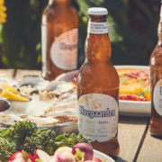 Hoegaarden 福佳 啤酒整箱 330mL 18瓶