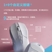 RAPOO 雷柏 V300SE 2.4G双模无线鼠标 12000DPI 玄冰