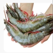 京东百亿补贴：北海湾 虾 青岛特大虾王20/30规格（17-21cm） 气冻大虾【纯虾3斤】