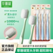 草珊瑚 万毛超细软毛牙刷高档宽头高密度成人家庭装孕妇敏感护龈用