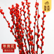 开时果 年宵花卉 45cm 银柳30枝（喜庆红