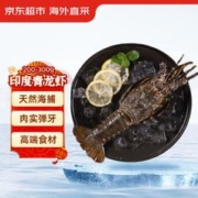 京东超市 冷冻青龙虾/小青龙 200-300g/只 盒装 高端海鲜食材