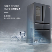 博世（BOSCH）562L多门美妆冰箱双压缩机制冷 零度维他保鲜 清新净风 晶御智能 一级能效PA56C