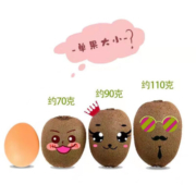 京鲜到陕西徐香绿心猕猴桃 严选中果30枚装（单果70-90g）新鲜水果