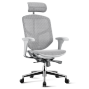 保友办公家具（Ergonor）金卓b2代enjoy人体工学椅  家用电脑椅办公椅子 游戏电竞椅 银白网（铝合金椅脚） 高配版