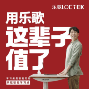 乐歌（Loctek） 电动升降桌智能电脑桌简约工作站立办公家用书桌台式电脑桌子E2 银灰桌腿+灰木纹桌板 桌板尺寸1.2*0.6m
