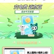 网上国网X京东PLUS会员 交电费瓜分千万京豆