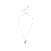 施华洛世奇（SWAROVSKI）新年礼物 施华洛世奇  Atelier Swarovski 花辰月夕 项链 镀金色 5511813
