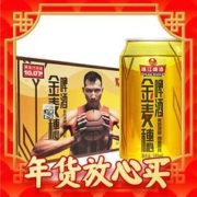 爆卖年货：珠江啤酒 10度 珠江金麦穗啤酒 330ml*24听 整箱装 年货送礼