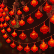 led新年彩灯装饰 2米10灯