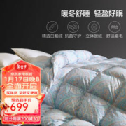 BLISS 百丽丝 圣普罗斯抗菌鹅绒冬被 200*230cm