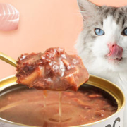 YANXUAN 网易严选 网易天成严选猫湿粮宠物零食浓汤红肉罐头 金枪鱼口味85克*12罐