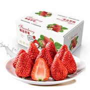 傻鲜森 新鲜红颜草莓 整箱5斤特大果30克+