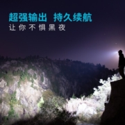 OLIGHT 傲雷 雷神Perun 2头灯 强光户外家用头戴式小型便携充电超亮防水 雷神2 黑色【含头灯带】