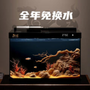 SUNSUN 森森 金麟超白玻璃鱼缸【升级自动喂食】380B 尊享版 带过滤增氧