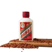 MOUTAI 茅台 惠群贵礼飞天53度100ml*2瓶(酒+酒器+邮册)礼盒装酱香型白酒