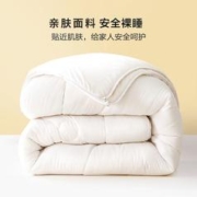 BLISS 百丽丝 柔软抗菌大豆纤维春秋被 150*210cm