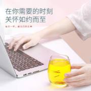 Lecmor 藏红花伊朗进口年货礼盒西红花茶泡水滋补过年送礼