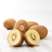 Zespri 佳沛 意大利金奇异果6/10/16个中大果礼盒新鲜水果包邮 1件装