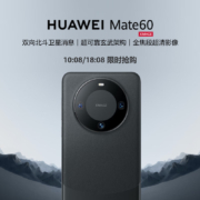 HUAWEI 华为 旗舰手机 Mate 60 12GB+256GB 雅丹黑
