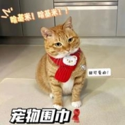 KUANFU 宽福 宠物围巾