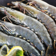 京东生鲜 泰国黑虎虾 1.8kg