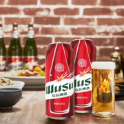 WUSU 乌苏啤酒 红乌苏 500ml*18罐/箱