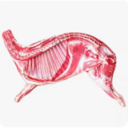 12日10点、限1000件、聚划算百亿补贴：新鲜羊肉新鲜半只羊10斤乳羔羊后腿羊肋排