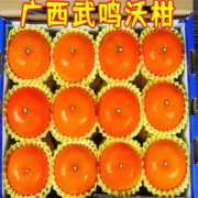 正宗 广西武鸣沃柑 特大果10斤装