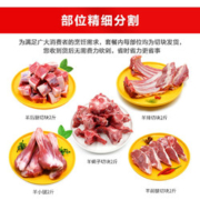 杞乐康 宁夏滩羊肉 生鲜国产半只羊年货礼盒羊腿羊排羊蝎子火锅炖煮食材 分割半只羊10斤