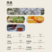 PIGGY BANK 扑满咖啡 埃塞耶加盖德布哈图米处理站 水洗150g