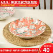 美浓烧 Mino Yaki）日本进口木槿花盘子餐盘菜盘 家用餐具高级感早餐盘西餐盘 绛红
