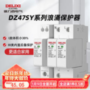 DELIXI 德力西 电气浪涌保护器 家用220V防雷保护器DZ47sY电源电涌避雷器防雷模块 2P 40KA 385V II类