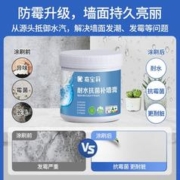 CARPOLY 嘉宝莉 补墙膏防霉耐水墙面修补膏大白腻子内墙翻新钉眼裂缝掉皮修复1kg