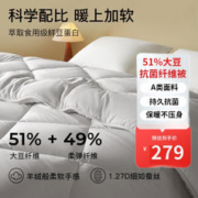 拉芙菲尔 母婴A类抗菌51%大豆纤维冬被五星级酒店被芯6.4斤 200*230cm 灰色