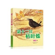 88VIP会员：《动物系列：第十二只枯叶蝶》