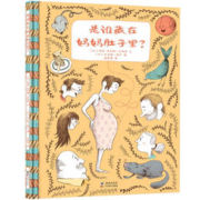 是谁藏在妈妈肚子里？（儿童幸福感知力绘本：多个宝贝多份爱，加拿大总督文学奖