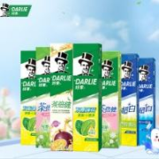 京东百亿补贴：DARLIE 好来(原黑人)超白茶薄荷牙膏套装 800g