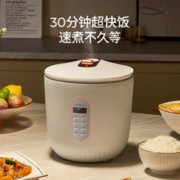OIDIRE 奥帝尔 德国OIDIRE电饭煲迷你煮饭小号家用2023新款小型电饭锅