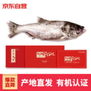 CHINGREE 查干湖 鱼礼券 冬捕有机查干湖胖头鱼 净重7.5-8斤