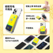 Anker 安克 A1610 磁吸无线移动电源 樱花粉 5000mAh Type-C 12W