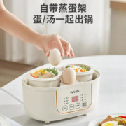 WAHIN 华凌 美的电炖锅 电炖盅隔水炖家用 炖汤锅辅食煮粥锅煮燕窝 多功能炖煮预约 双胆鲜炖1L WH-DG02