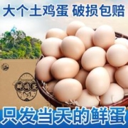 我老家 20枚50g大蛋我老家鲜鸡蛋