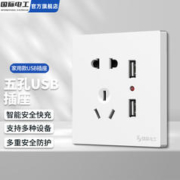 fdd 国际电工 五孔双USB插座
